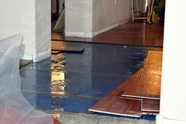 Professional Water Damage Restoration technician working in Santaquin, UT
